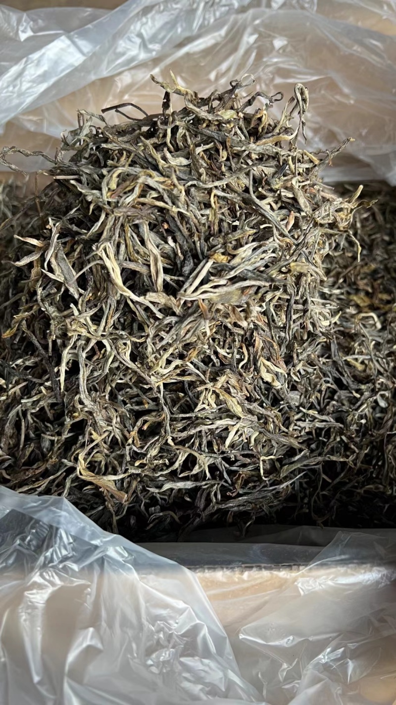 普洱茶批发趋势：历史与现代交织的东方韵味